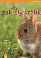 Zakrslý králík.jpg